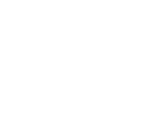 North West Dragons icon
