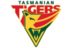 Tasmania icon